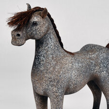 Dappled Horse
