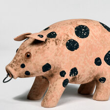 Pink Spotted Pig