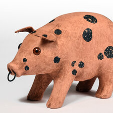 Pink Spotted Pig