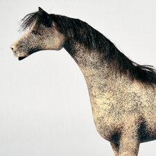 Standing Horse