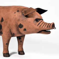 Wild Pig